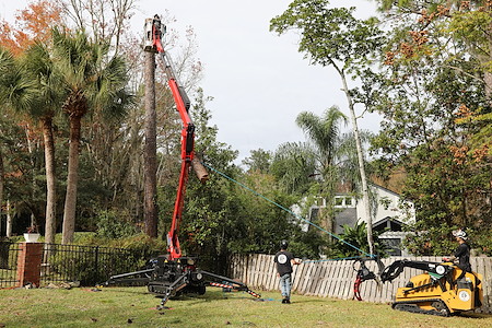 Crane Assisted Tree Removal