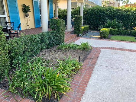 Hedge Trimming
