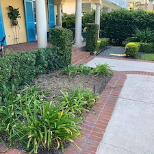Hedge Trimming