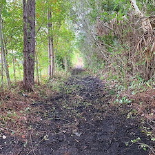 Land Clearing