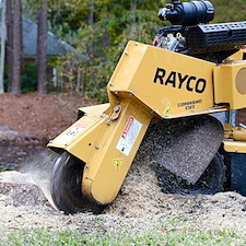 Stump Grinding & Removal